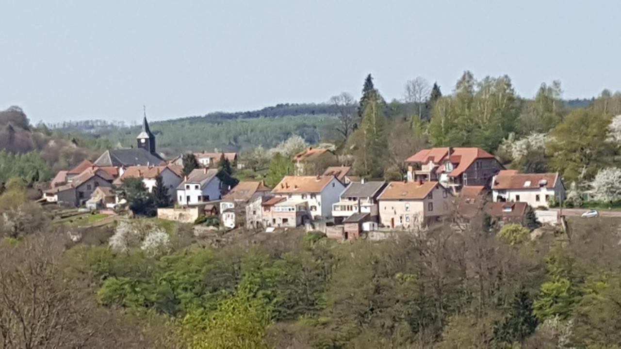 Haselbourg Au Chalet Bain Nordique Neuf Independant Calme Assure מראה חיצוני תמונה