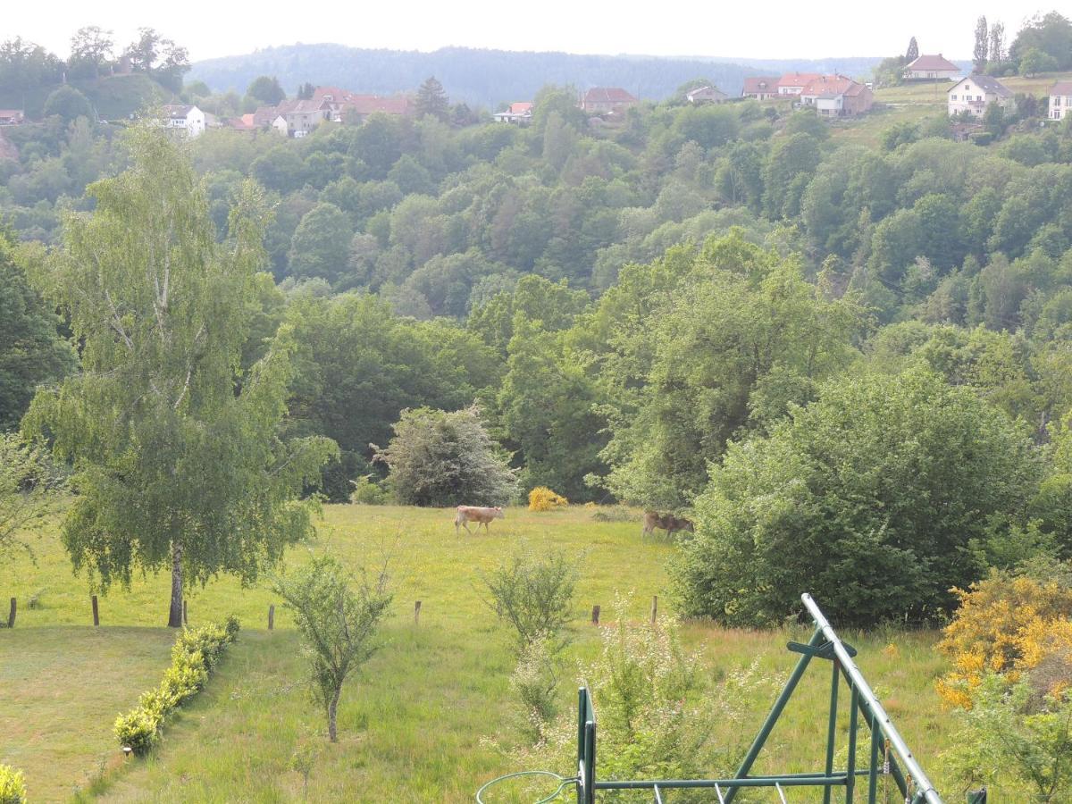 Haselbourg Au Chalet Bain Nordique Neuf Independant Calme Assure מראה חיצוני תמונה
