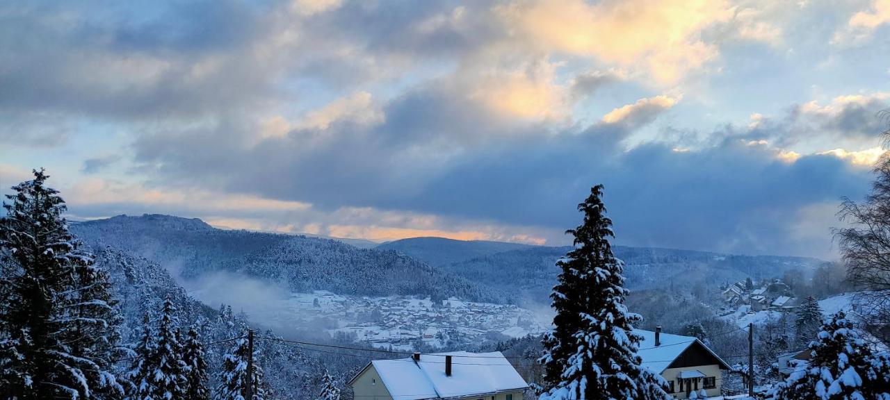 Haselbourg Au Chalet Bain Nordique Neuf Independant Calme Assure מראה חיצוני תמונה